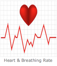 Heart and Breathing rate